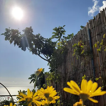 Apartament Casa Del Corriere Positano